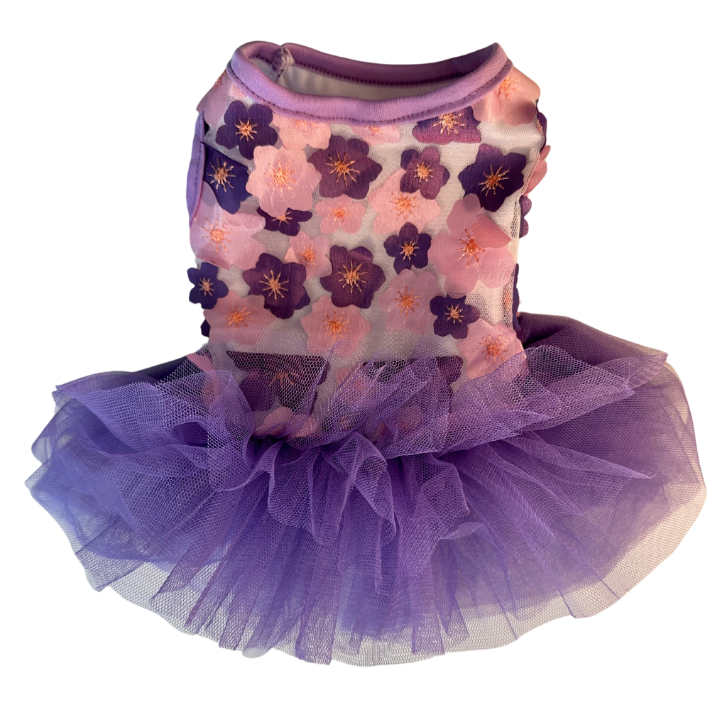 Tutu Dress