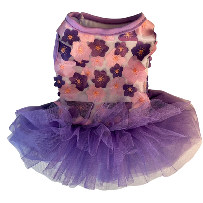 Tutu Dress